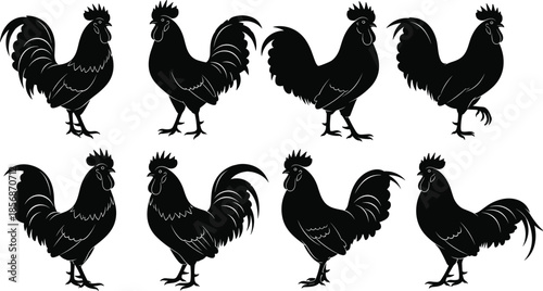 Black rooster silhouette collection with poultry chicken cock bird farm animal vector set for rustic rural country kitchen logo design,