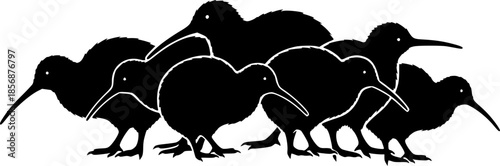 Set of kiwi bird silhouette, black and white silhouette, vector and illustration
