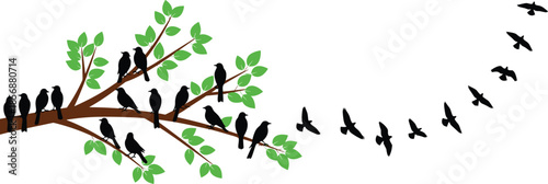 Silhouette flock of birds on leafy tree branch with others flying away in migration, nature wildlife freedom concept