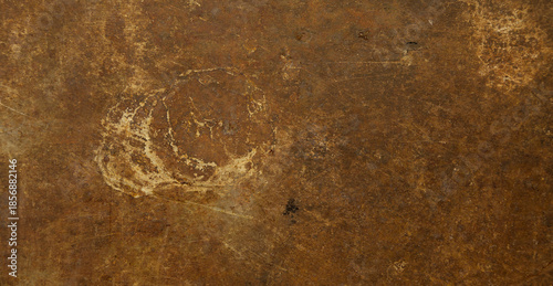 PLAQUE MÉTALLIQUE ROUILLÉE AVEC TACHES SPHÉRIQUES