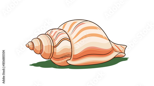 Captivating Seashell Vector Illustration: Elegant Spiral Design, Summer Vibes, Nautical Theme, Beach Decor Element isolated on transparent background for creative projects.