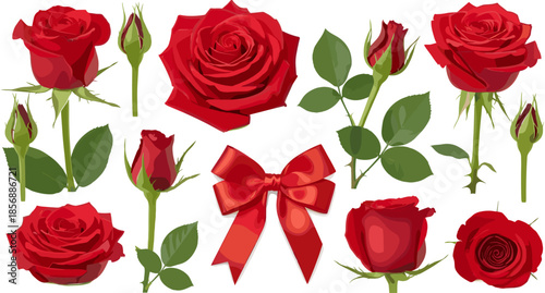 Beautiful red rose collection with blooming flowers, buds, green leaves, and a red silk bow isolated on white background illustration.