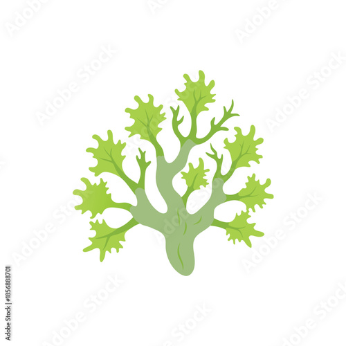 Stylized illustration of a branching green plant organism resembling coral or seaweed
