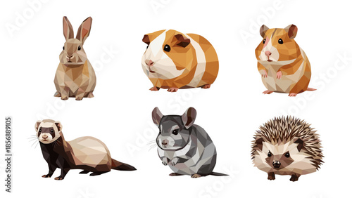 Low poly style pets collection: rabbit, guinea pig, ferret, chinchilla, hedgehog
