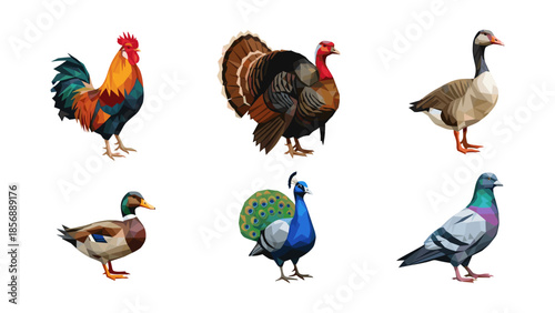 Geometric birds collection: rooster, turkey, goose, duck, peacock, pigeon
