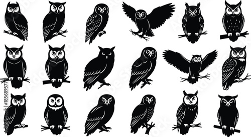 Collection of twenty black owl silhouettes in grid layout, featuring perched birds, diverse nocturnal owl poses, nature icons, and mysterious forest predator vectors,