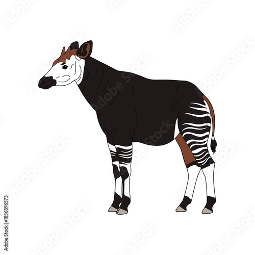 Okapi standing in profile with distinctive striped legs.