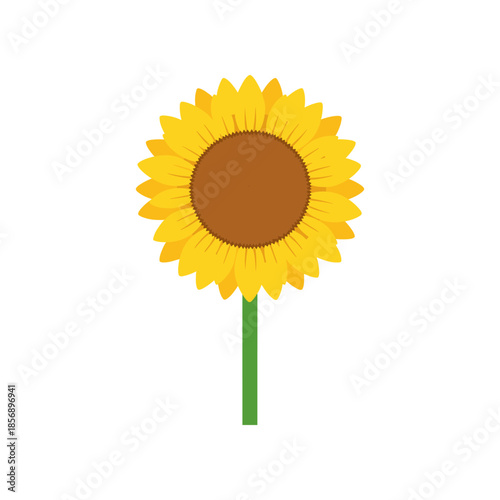 Simple and vibrant sunflower illustration with bright yellow petals.