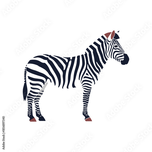 Striking zebra stands tall showcasing bold black and white stripes in profile.