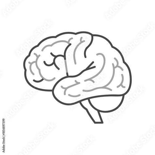 Stylized Brain Illustration Anatomical Representation of Human Intelligence.