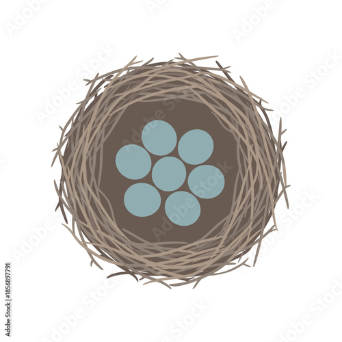 Top down view of a bird nest with seven blue eggs isolated on white.