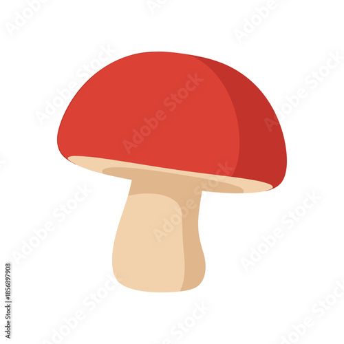 Vibrant Red Mushroom with Cream Stem Isolated on White Background.