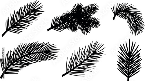 Pine tree branches vector set with detailed black silhouettes for nature and botanical design elements