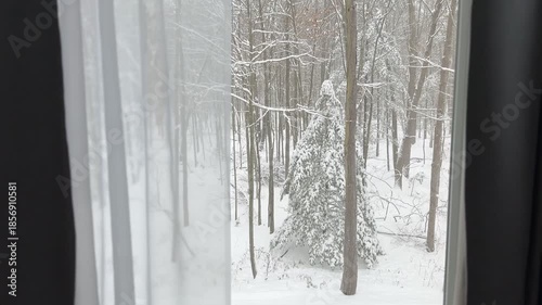 Wallpaper Mural Winter forest view through a window Torontodigital.ca