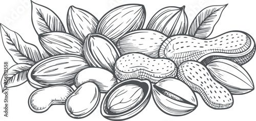 Assorted almonds and peanuts with leaves black and white line