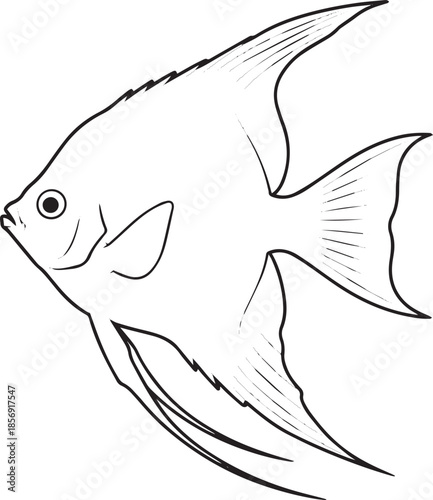 silhouette of clean vector of Angelfish isolated on white background