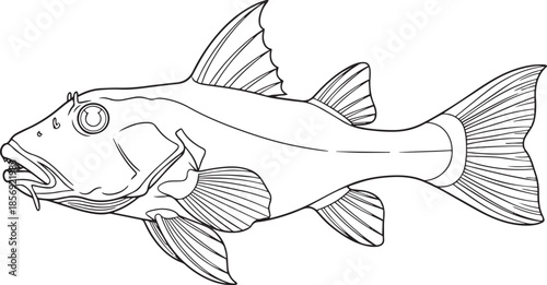 silhouette of clean vector of Plecostomus isolated on white background