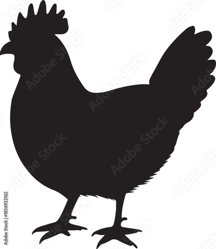 Chicken Hen Silhouette Vector on Transparent Background