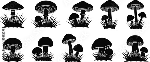 Black silhouette icons of mushrooms growing in grass with varied shapes, gills, and natural forest setting