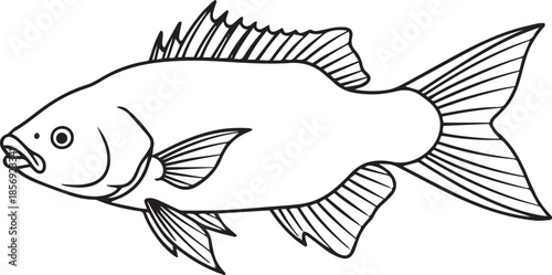 silhouette of clean vector of Gourami isolated on white background