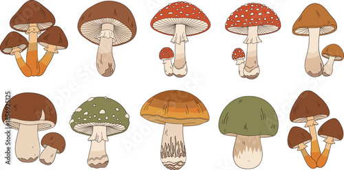 Cute cartoon mushroom varieties set forest fungi illustration collection isolated for nature and autumn designs