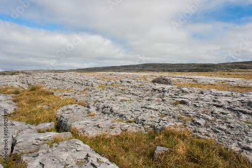 The Burren in County Clare West of Ireland. Part of this unique rock structure forms the Burren National Park Land