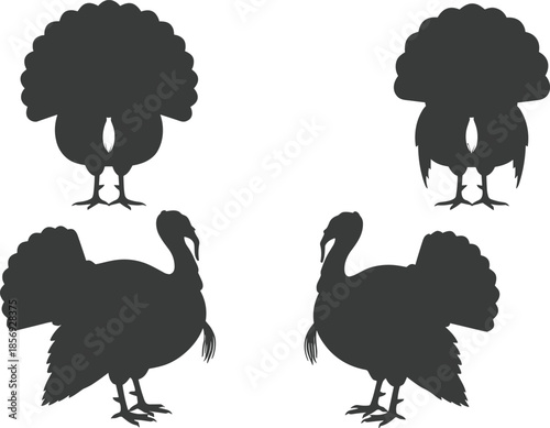   
Silhouette turkey illustrations in side and rear view for Thanksgiving, wildlife, poultry farming, festive decoration, and educational design use