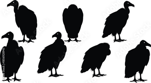 Vulture silhouette icon set in black showing distinct standing postures for wildlife, nature, and bird design illustration