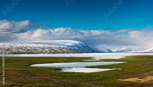 Vast Tundra Transitioning From Icy White To Vibrant Green As Spring Awakens