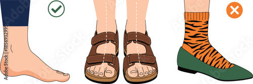 Correct and Incorrect Footwear Illustration Showing Barefoot, Proper Sandals, and Inappropriate Shoe Example Vector