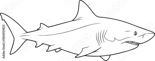 silhouette of clean vector of Bull Shark isolated on white background