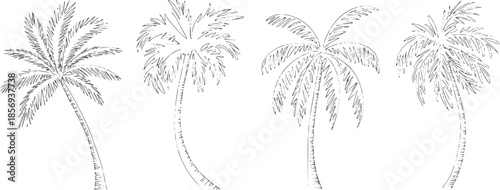 Four minimalist black and white line palm trees in a row with varying leaf styles