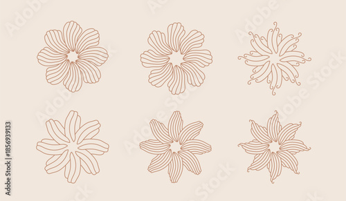 Abstract esoteric boho suns. Minimalist elegant bohemian shapes like hibiscus flowers. Vector modern suns