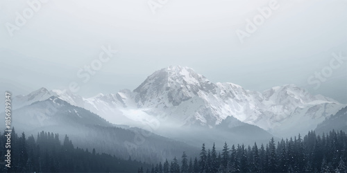 A breathtaking winter landscape view of the high alpine peaks and snow covered trees under a cloudy sky in the Swiss Alps of Europe