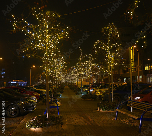 Christmas decorated street in Frýdek-Místek, Czech Republic