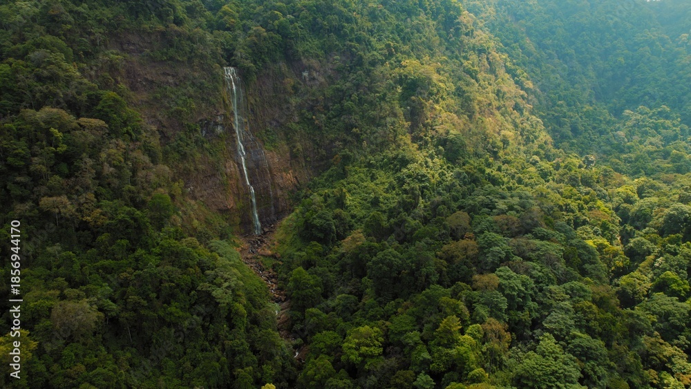 custom made wallpaper toronto digitalWaterfall cascading through dense rainforest surrounded by steep green hills.
