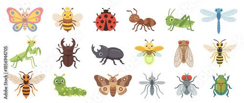 Cartoon illustration featuring a variety of insects including butterfly, bee, ladybug, ant, grasshopper, and more.