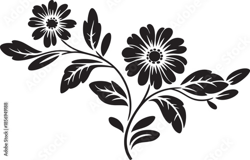 black silhouette of flowers and leaves on transparent background