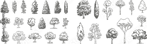 Collection of various tree illustrations in different shapes and sizes on white background