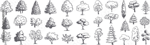 collection of various trees in black and white line art style for illustrations