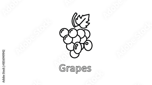 Simple black and white line art illustration of a fresh bunch of grapes with a single leaf suitable for coloring books or educational materials about fruit.
