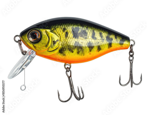 A detailed close-up shot of a hard-bodied, lifelike fishing lure with treble hooks