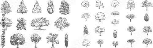 black and white illustrations of various trees and plants