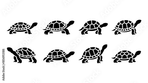 Eight black and white stylized turtle vector icons for design elements
