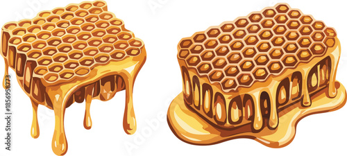 Dripping Honeycomb Illustration Set Featuring Golden Honey Blocks and Bee Wax Texture for Natural Food, Organic Sweetener, Beekeeping, Dessert, and Packaging Design