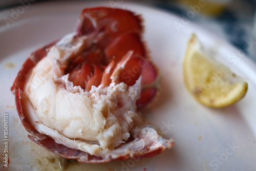 red fresh lobster as sea food