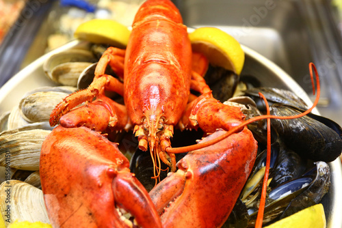 red fresh lobster as sea food