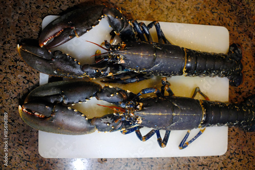 red fresh lobster as sea food