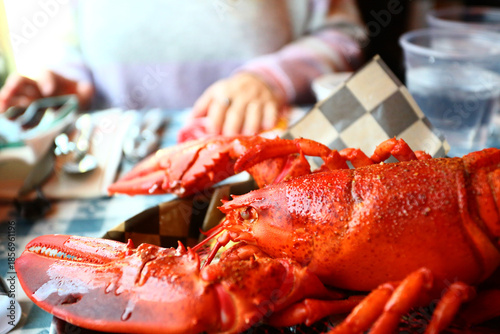 red fresh lobster as sea food