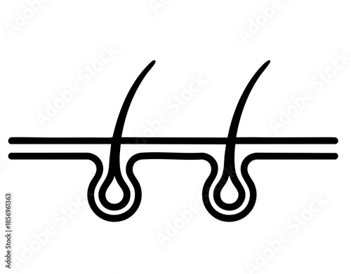 Hair follicle icon linear vector illustration showing human hair growth and structure